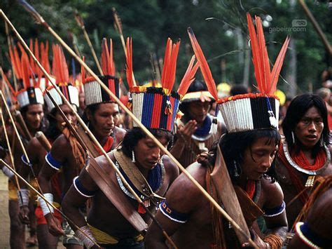  Den mystiska försvinnandet av Guarani i Amazonas; en studie i kulturell förändring och forntida konflikter